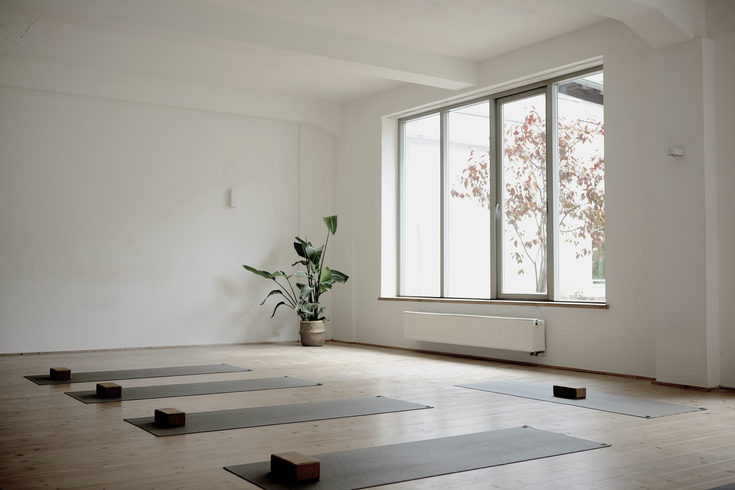 Shivasloft Yogastudio Flingern